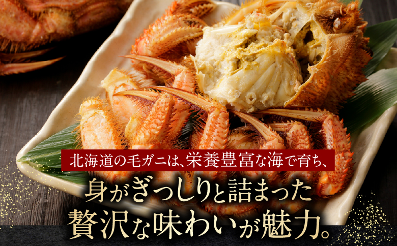 【北海道根室産】毛がに600g前後×1尾 B-21006