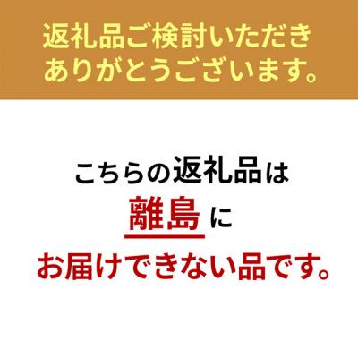 ふるさと納税 大河原町 クーラーボックス 大型20L真空断熱HUGELホワイトアッシュ アイリスオーヤマ[53751980] |  | 01