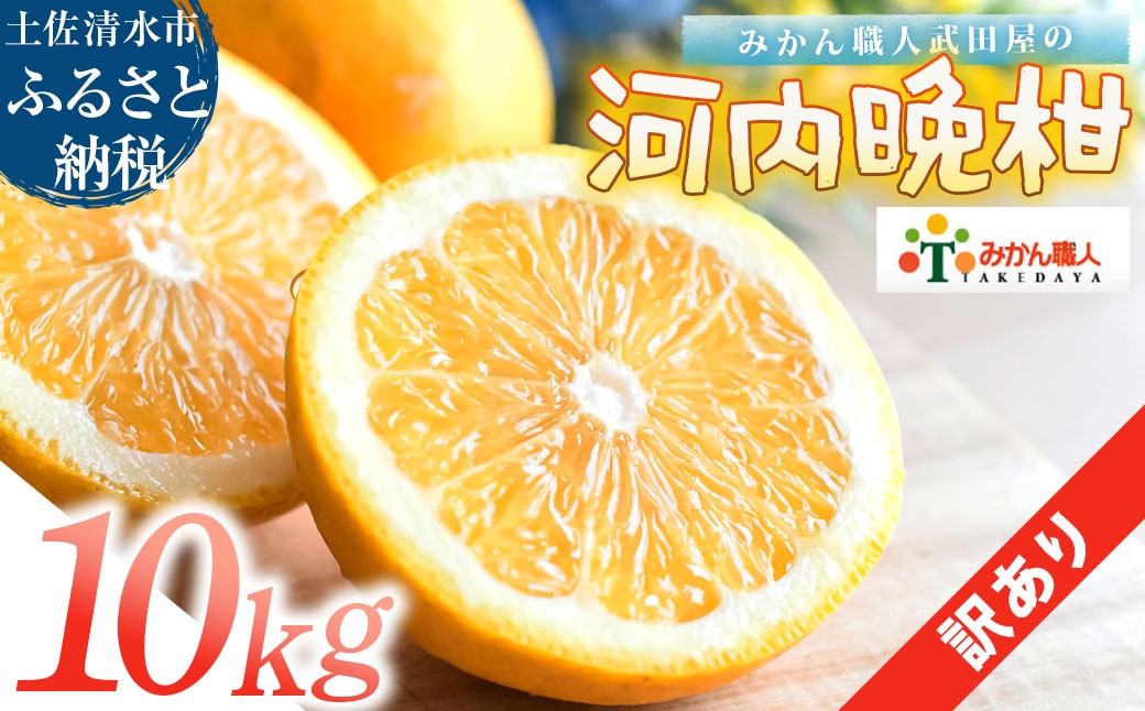 
                   訳あり 河内晩柑 10kg サイズミックス 晩柑 かわちばんかん 文旦 柑橘 和製 グレープフルーツ 国産 みかん 果物 果実 フルーツ 特産品 有名 みかん職人武田屋 おいしい ビタミン 傷あり 家庭用 減農薬【R01617-1】
                