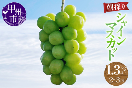 【農家直送】【クール便でお届け】シャインマスカット 1.2kg以上（2～3房入）【2026年発送】（ABE）B12-900 シャインマスカット フルーツ