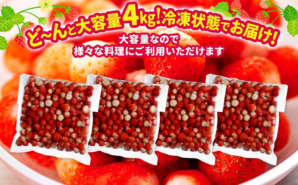 訳あり北海道ひだか東産 冷凍いちご「すずあかね」「すずりっか」（真空パック1.0kg×4袋）
