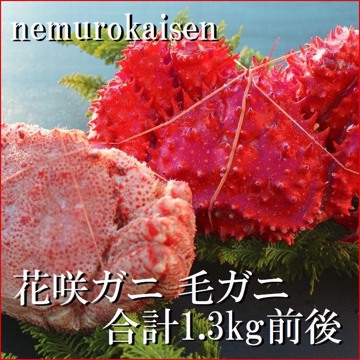 【ふるさと納税】 [北海道根室産] 花咲ガニ 1 尾・毛がに 1 尾 ( 2 種計 1.3kg 前後 ) 花咲がに 花咲 花咲かに 花咲蟹 毛ガニ 毛蟹 けがに ケガニ かに カニ 蟹 お取り寄せ グルメ 海鮮 北海道 根室市 ふるさと納税 D-57039