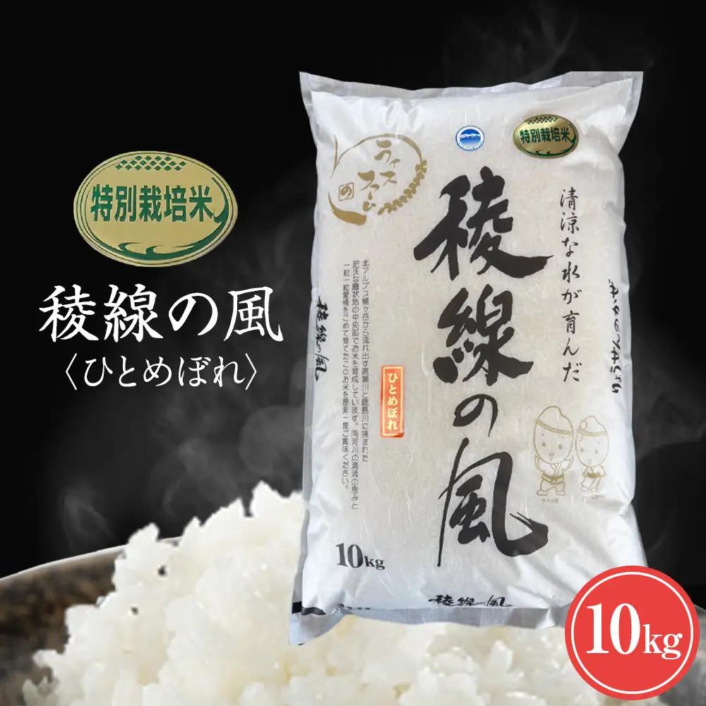 【信濃大町産】特別栽培米　稜線の風（ひとめぼれ） 10kg | ブランド 米 新米 長野 信州