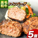 【ふるさと納税】肉 黒毛和牛 ハンバーグ 天空和牛ハンバーグ 約500g (約100g×5個)《30日以内に出荷予定(土日祝除く)》有限会社松牛 和歌山県 紀の川市 熊野牛 紀の川天空和牛 惣菜 おかず