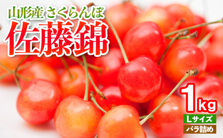 さくらんぼ 佐藤錦 Lサイズ バラ詰め 1kg 2025年産 くだもの フルーツ 農家直送 山形 山形県 山形市 令和7年産 山形県産 送料無料 サクランボ FY25-104
