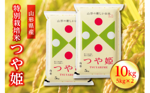 【令和6年度産】山形県産 特別栽培米 つや姫 精米 10kg(5kg×2) F2Y-3908