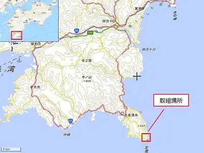 足摺ヤブ椿再生プロジェクト 応援一口 100,000円（30,000円分） ※返礼品なし※ 自然保護 椿 つばき ツバキ 藪椿 ヤブツバキ クラウドファンディング 募金 環境保護 SDGs 高知県【R