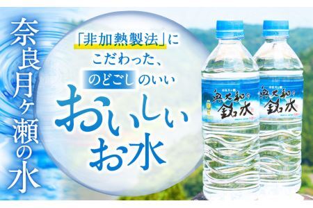 水 天然水 水 月ヶ瀬の水 奥大和の銘水48本セット 水  長期間保存可能 水 永伸商事株式会社 I-98 奈良 なら