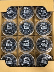 南信州産 生ブルーベリー 約100ｇ × 12パック ＜2026年6月中旬～順次発送予定＞ ＪＡみなみ信州ＤＭセンター ｜ 長野県 飯田市
