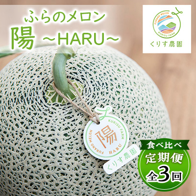 
＜発送月固定定期便＞食べ比べ!ふらのメロン「陽 ～HARU～」大玉　1玉(赤肉)　富良野メロン全3回【4013535】
