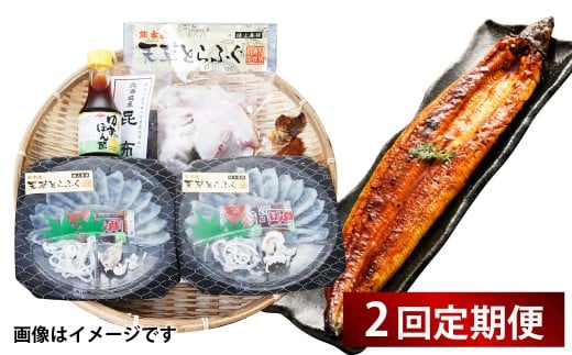 【2回定期便】【極】季節めぐり定期便1 ふぐ フグ 河豚 とらふぐ トラフグ てっさ てっちり うなぎ ウナギ 鰻 熊本県 上天草市