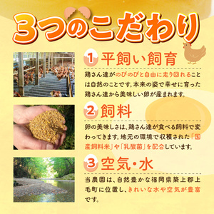 平飼い卵 なちゅら 30個 _KJF0106