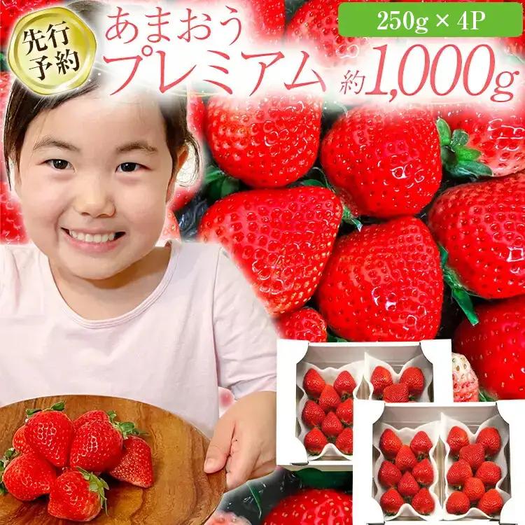 いちご 大木町産あまおういちご 約250g×4P【2027年2月以降発送】CL001