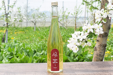 りんご贅沢しぼり×2　スパークリング×1