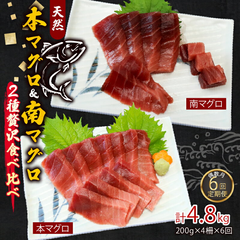 【ふるさと納税】 【6回定期便】 天然本マグロ　天然南マグロ　中トロ　各2柵　偶数月にお届け 刺身 漬け丼 海鮮丼 マグロ丼 ちらし寿司 鮪 まぐろ ネギトロ丼 魚介 惣菜 冷凍 送料無料 海鮮 冷凍 さしみ 刺身 高知 室戸 マグロ 寿司 高級 ＜eb004＞