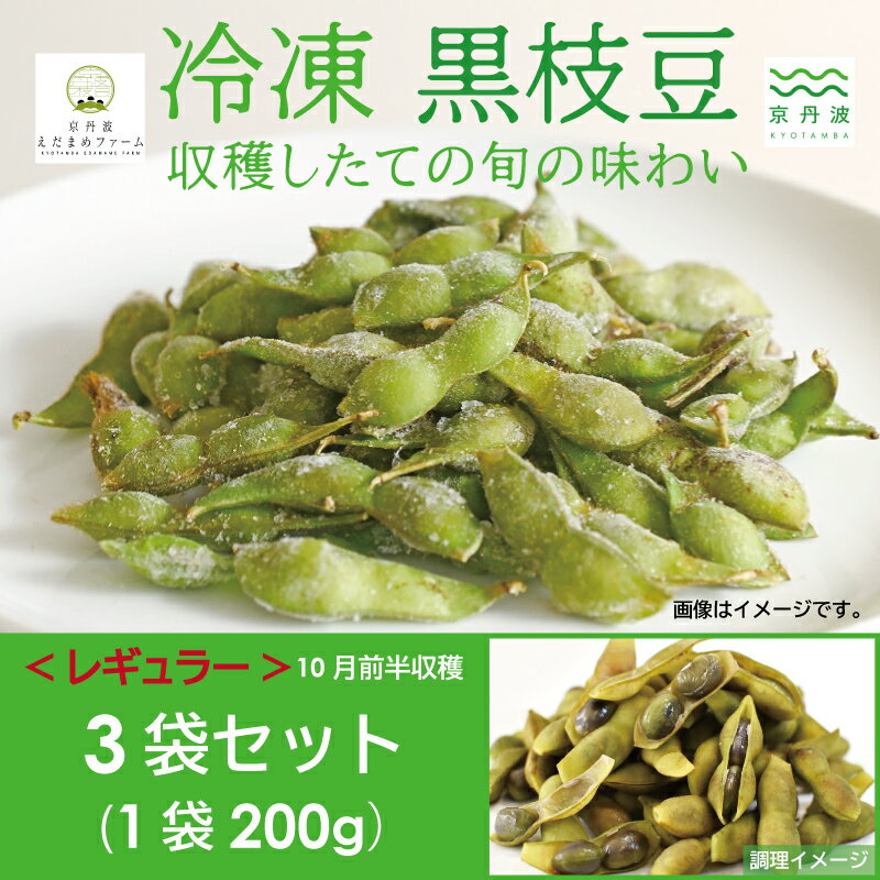 【ふるさと納税】 冷凍 丹波黒枝豆 レギュラー 600g（200g×3パック） 【 国産 京都 丹波 黒豆 えだまめ ビール おつまみ ご当地グルメ 特産品 】 ※北海道・沖縄は配送不可