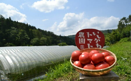 石川農園・愛情ぎゅっと詰め合わせセット / トマトケチャップ トマトソース パスタソース いちごジャム 国産 / 恵那市/クリエイティブファーマーズ[AUAH001]