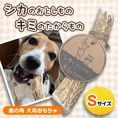 ふるさと納税 遠軽町 「シカのおとしもの　キミのたからもの」 Sサイズ 鹿の角 犬用おもちゃ 1個