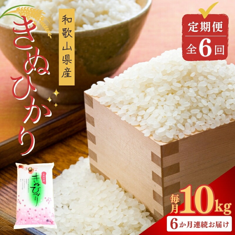 【ふるさと納税】 お米 定期便 全6回 和歌山県産 米 キヌヒカリ 60kg(10kg×6回) 2025年産 / 白米 定期便 食品