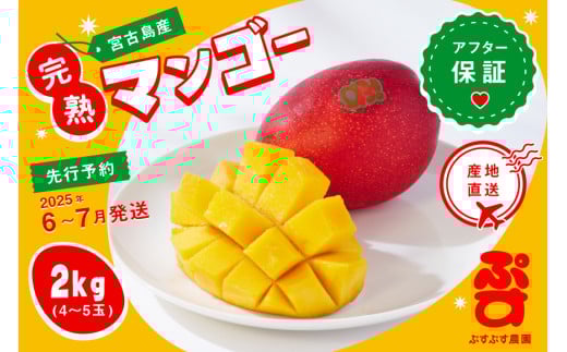 KY002 【ぷすぷす農園】宮古島産完熟マンゴー(家庭用／2キロ／農園直送)