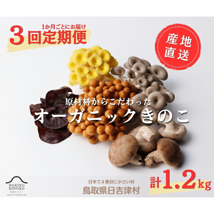 【ふるさと納税】【3回定期便】オーガニックきのこ 5種 定期便　TH01