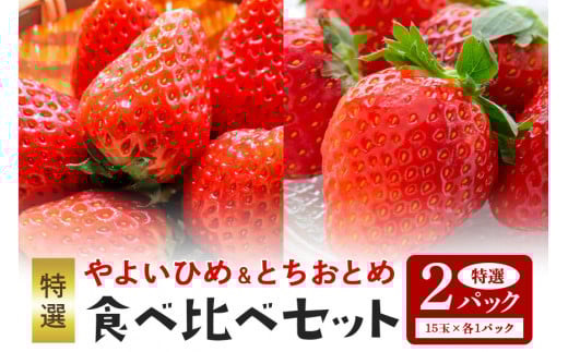 【数量限定・先行予約】 やよいひめ・とちおとめ 特選15玉 各1パック いちご イチゴ 苺 フルーツ 果物 くだもの ＜2026年1月中旬～3月上旬発送予定＞ （茨城県共通返礼品 石岡市） 71-H