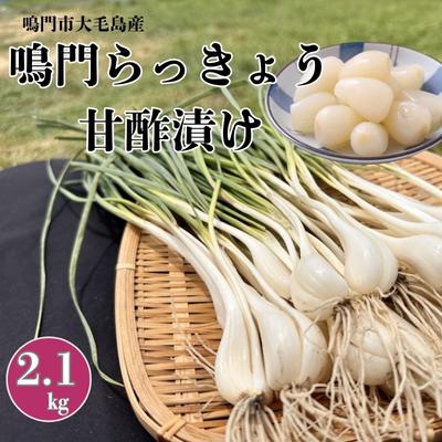 ふるさと納税 鳴門市 鳴門らっきょう甘酢漬け