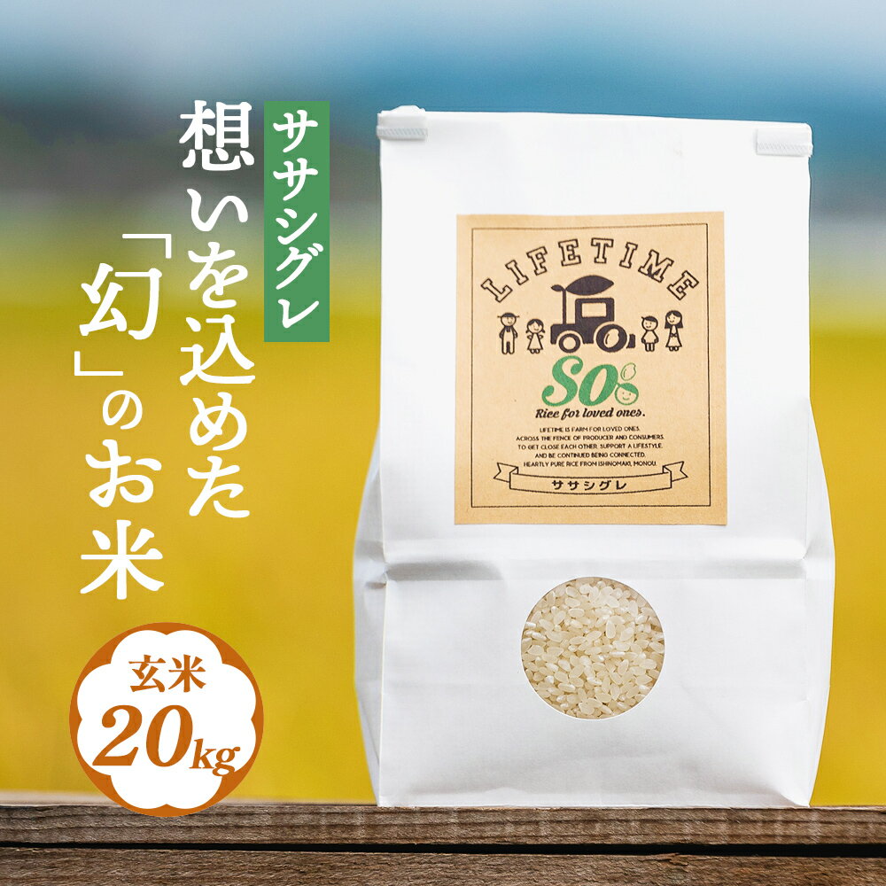 【ふるさと納税】 米 ササシグレ 玄米 20kg 農薬不使用 化学肥料不使用 ささしぐれ お米 コメ こめ おこめ ご飯 ごはん 希少 優しい 甘み