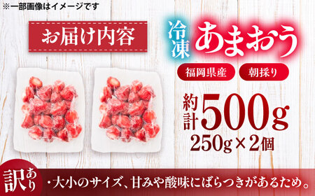 【訳あり】福岡県産 冷凍あまおう500g(250g×2個) [VEG011]いちご 苺 イチゴ 取り寄せ
