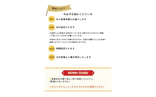 【先行予約】北海道ニセコ町 ゆり根M-L混みサイズ2kg【2026年産】