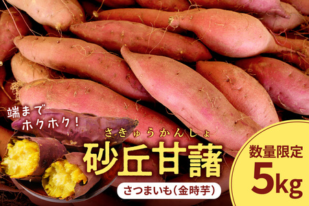 【先行予約／数量限定50】砂丘甘藷（さつまいも（金時芋）） 5kg（2025年12月上旬～発送）