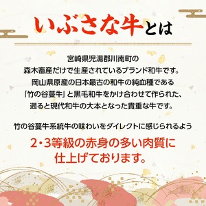 【6ヶ月定期便】いぶさな牛のスペシャル焼肉セット650g 【 宮崎県産 牛 焼肉 黒毛和牛 定期便 】