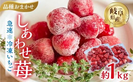 【2026年5月より発送】 《 訳あり 》 冷凍いちご 品種おまかせ 1kg (500g × 2p) 簡易梱包 サイズ 不揃い のため 訳あり 訳アリ フルーツ 果物 苺 いちご イチゴ 紅ほっぺ よつぼし かおり野 アイス ヨーグルト 苺 family農園watanabe 子ども 小分け 家庭用 国産 産地直送 岐阜県 本巣市 8000円 8千円 [mt1560]