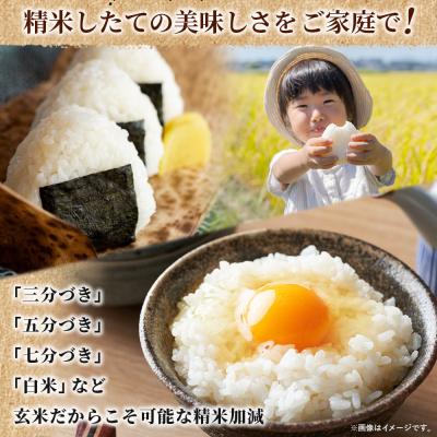 ふるさと納税 西予市 <ちほみのり 玄米  25kg> げんまい 米 こめ コメ ご飯 穀物 |  | 01