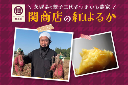 【期間限定】 紅はるか 食べ比べセット（焼き芋3kg・干し芋660g）関商店 焼芋 やきいも 焼いも ほしいも 干芋 干しいも べにはるか ベニハルカ 食べくらべ 62-B ＜2027年4月20日まで