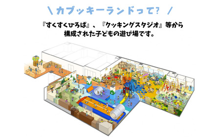 《親子で楽しめるカブッキーランド》 カブッキーランド年間パスポート交換券 018033 チケット 旅行 チケット 旅行