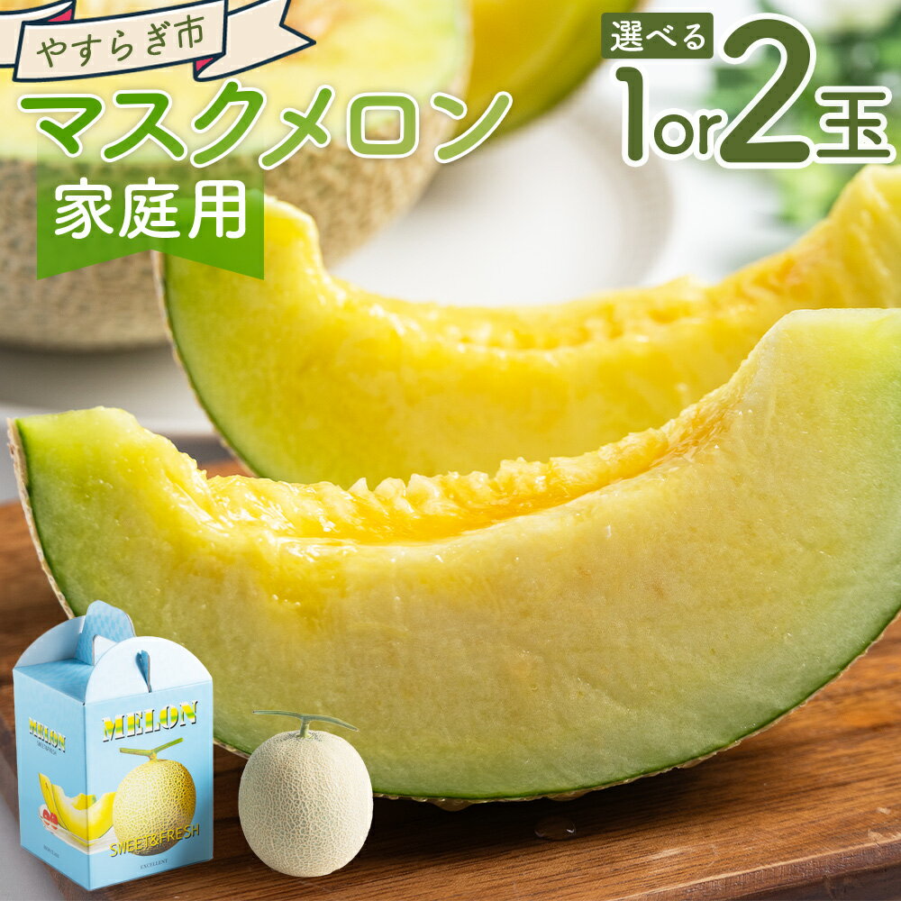 【ふるさと納税】【選べる内容量】【令和8年3月発送開始】マスクメロン （1/2玉） 家庭用 - 選べる 数量 国産 メロン 果物 フルーツ 青果 濃厚 デザート 訳あり 訳アリ ご家庭用 不揃い 傷 やすらぎ市 高知県 香南市【常温】 Ryr-0097