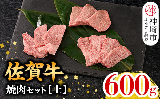 
牧場直送 佐賀牛焼肉セット(上)【牛肉 焼肉 厚切り a4 a5 A4 A5 焼肉用 セット 佐賀 ウデ モモ バラ 国産 冷凍 小分け 神埼市】(H106104)
