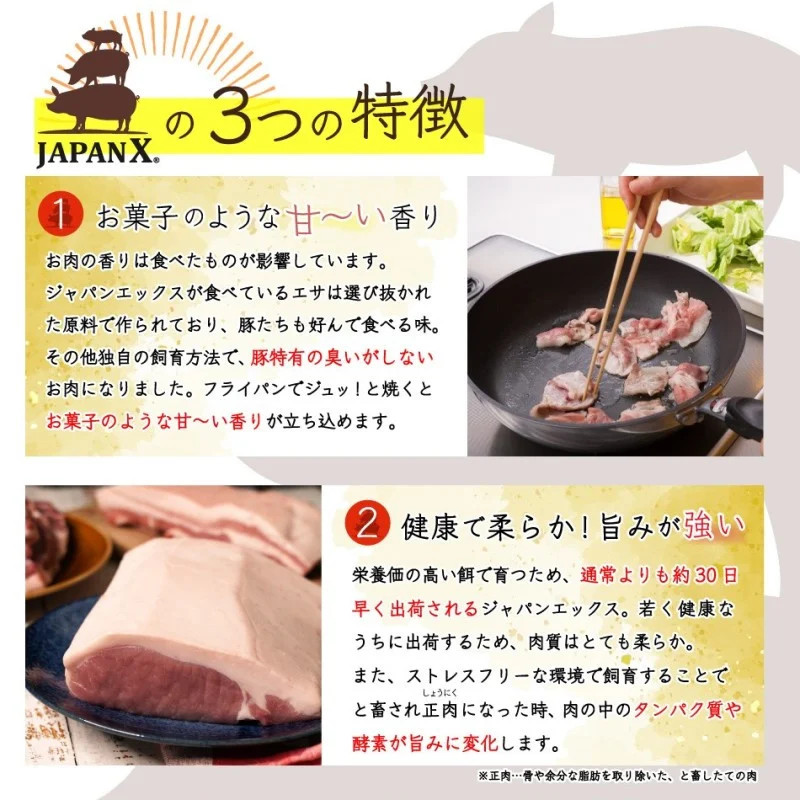 【定期便10か月】JAPAN X5種スライスセット1.8kg 【真空パック・ロース・肩ロース・バラ・モモ・小間】　【04301-0552】_イメージ5