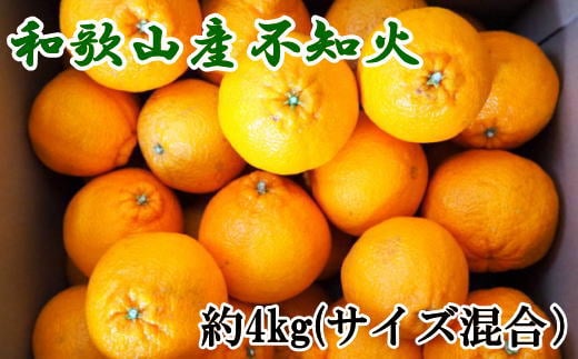 和歌山県産不知火約4kg（サイズ混合） ※2025年2月下旬～2025年3月中旬頃に順次発送予定（日付指定不可）【tec957】