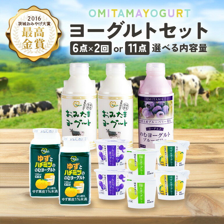 【ふるさと納税】おみたまヨーグルト のむヨーグルトセット ドリンクタイプ 500ml 飲むヨーグルト 乳酸菌飲料 ヨーグルト飲料 フルーツヨーグルト 詰め合わせ ドリンクタイプ フルーツ オミタマヨーグルト 小美玉市