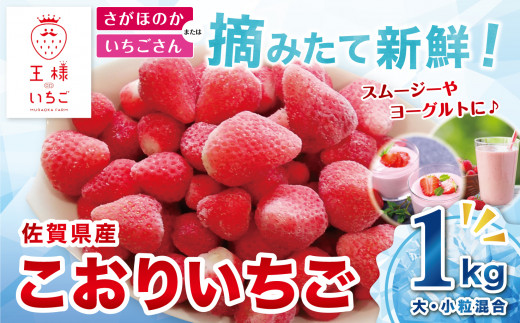 
【先行予約｜王様のいちご】佐賀県江北町産 こおりいちご 1kg（冷凍いちご）
