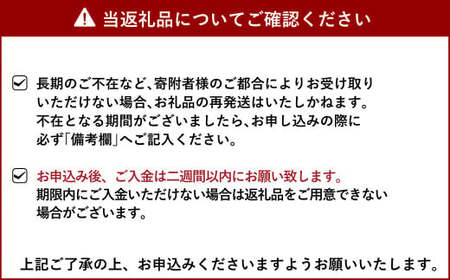 宇城市産 恋みのり イチゴ 4パック 約1kg【2025年2月上旬から3月下旬発送予定】苺 いちご イチゴ 恋みのり