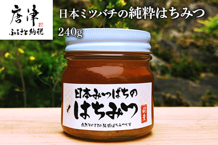 日本ミツバチの純粋はちみつ 240g 瓶 自然 蜜「2024年 令和6年」