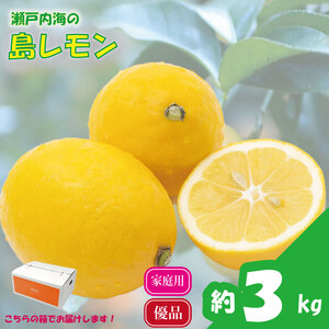 【先行予約】 瀬戸内海の島レモン (優品・家庭用) 3kg | レモンレモンレモンレモン 【KK325】