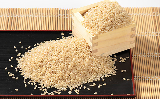 令和7年産 あきたこまち 玄米 10kg(5kg×2袋)【配送不可地域：離島・沖縄県】