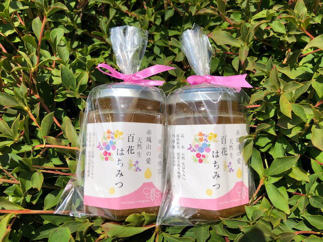 【ふるさと納税】天然はちみつ Aセット 百花はちみつ 180g×2｜はちみつ 花 国産 非加熱 甘い 天然 群馬県 前橋市