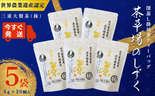 １９２９　② 令和6年度産：今すぐ発送 深蒸し掛川茶TB「茶草場のしずく」( 5g × 20 )× 5袋セット ➀ 新茶 ･令和7年5月20日頃より発送 ②令和6年度産：今すぐ発送 ギフト箱入 三重大製茶 ティーバッグ 