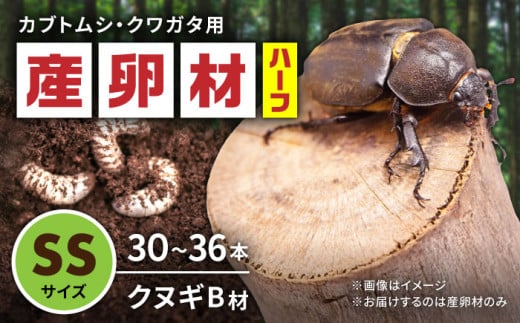 オリジナル産卵材 SSサイズ ハーフ カブトムシ クワガタ クヌギB材 【ふるさと昆虫】 [YDV014]