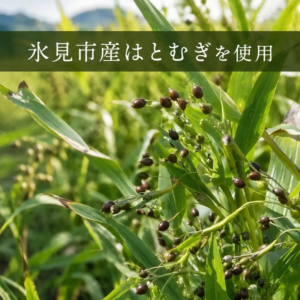 氷見 ハトムギ茶 焙煎茶ティーバッグ 120g（10g×12包）× 6袋 | 氷見産 ハトムギ茶 はとむぎ 添加物無添加 ノンカフェイン 